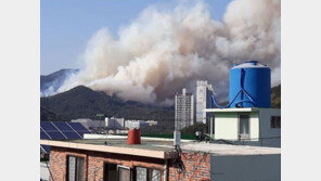 부산 해운대 운봉산 산불 제보 ‘긴박’, “역대급 불…바람에 계속 번져”