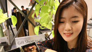 “화산석으로 만든 이색 방향제 만나요”