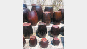 [고양이 눈]가족사진