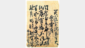 “심훈 영전에…” 권기옥 지사가 쓴 만장 발견