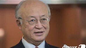 IAEA 사무총장 “비핵화 합의만되면 수주내 北에 사찰단 보내”