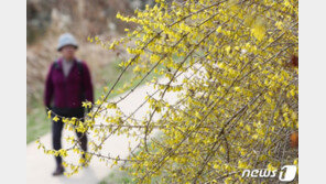 [날씨] ‘일교차 18도’ 꽃샘추위 기승…동해안 밤부터 강풍