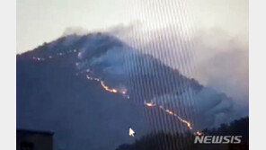 부산 해운대 대형 산불 밤새 13㏊ 소실…일출 후 헬기 18대 투입