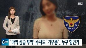 “‘황하나 마약 투약’ 첩보 나왔지만…檢, 압수수색 영장 모두 반려”