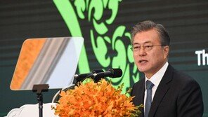 文대통령 “평화 되돌리려는 시도 있다”… ‘한미 틈 벌리기’ 경고