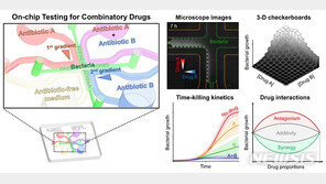 KAIST, 8시간 내 항생제 조합 성능 확인 기술 개발