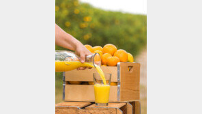 봄날의 불청객 미세먼지, ‘플로리다 오렌지 주스’로 면역력 충전