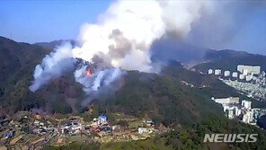 부산 해운대 산불 큰 불길 잡아…20㏊ 소실