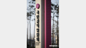 법무사 실수로 30년 잘못된 주소…권익위 중재로 해결