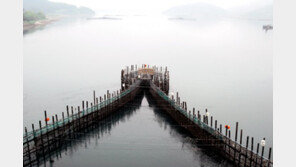 대나무 발 등으로 물고기 가둬 잡는 ‘어살’ 무형문화재 지정