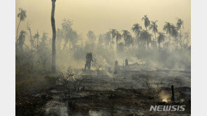 아마존에서 환경운동가 또 피살…英남성, 페루서 시신으로 발견