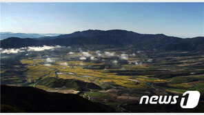 고성·철원·파주 DMZ 둘레길 열린다…남북협력기금 43억 지원