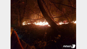 해운대 운봉산 불 17시간만에 초진…임야 20ha 태우고 잔불만 남아