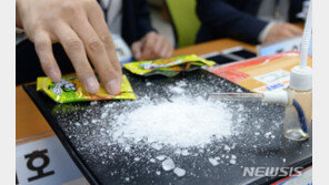 ‘2만명 동시 투약 가능’ 필로폰 밀반입 태국조직 검거