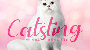 “캣푸드 브랜드 모델에 지원하세요”