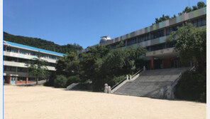 전세계에서 화교가 뿌리내리지 못한 곳은 한국뿐