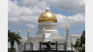 브루나이, 동성애 ‘돌팔매 사형’ 형법 비난 속 시행