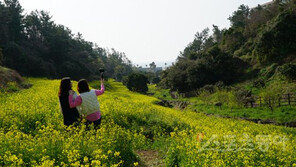 [김재범 기자의 투얼로지] ‘인싸’들은 벌써 다녀간 SNS ‘좋아요’ 성지