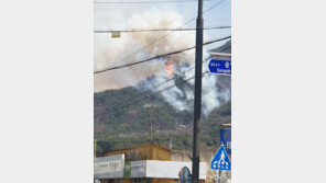 아산 설화산 산불, 소방 “큰 불 잡았으나 잔불 남아 안심 못 해”
