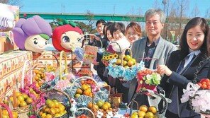 부산 대저토마토축제 6일 개막