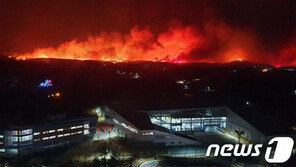 고성 산불, ﻿인명·재산 피해 정확한 집계조차 어려워…市승격 이래 최악의 재난