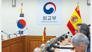 구겨진 태극기, 망가진 외교