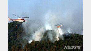 포항 운제산 산불 완전 진화 후 경계태세…“재발화 감시”