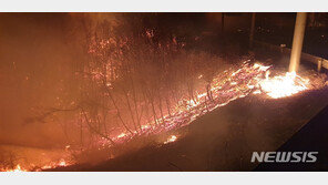 ‘산불 재난’ 정부, 중대본 가동…“가용자원 총동원”