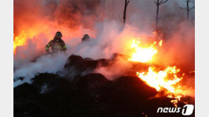고성 산불 대피하던 수학여행 버스 불 옮겨붙어 ‘아찔’
