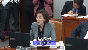 나경원 “산불 심각성 말하고 정의용 이석 양해 구했어야…파악 어려웠다”