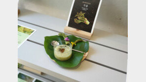 “세계서 가장 고귀한 음식 만든다”…NYT 극찬 백양사 정관스님 ‘봄나물 특강’