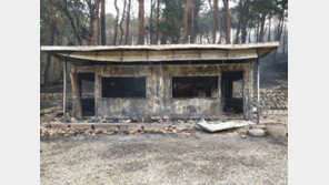 속초 보광사 부속건물 불타…문화재 안전 ‘초비상’