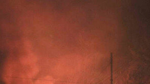 수학여행 전세버스, 고성 산불 옮겨붙어 ‘아찔’…전원 하차후 전소