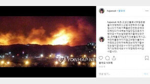 강원산불, ‘고성댁’ 하재숙 “저희 가족은 대피했다 귀가…더는 피해 없길”