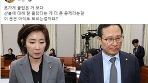 손혜원 “나경원, 국가재난 수준 고성·속초 산불, 설명해줘야 알아 듣는 분”