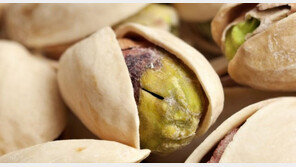 中 무역분쟁에도 미국산 피스타치오 대거 수입, 왜?