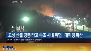 강원도 산불, 지상파3사 재난방송에 ‘수어통역’ 無…“불평등” 비판