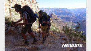 美그랜드캐년서 8일 사이 3명 사망…2명은 추락사