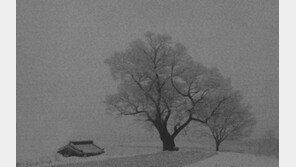 생태사진작가 라규채 사진전