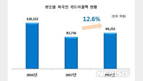 “외국인, 지난해 국내에서 9조4000억 카드 지출”