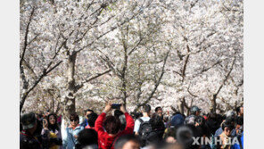 베이징시, ‘진상 관광객’ 블랙리스트 검토…적발되면 엄중 제재