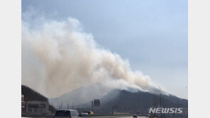 [분당 산불] 소방 “헬기 4대 동원해 거의 진화”…서울대병원 뒤 야산