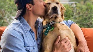 [#해시태그 컷] 헤니의 브로맨스