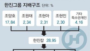 ‘3세 경영체제’ 2000억 상속세가 관건… 한진그룹 경영권 영향은
