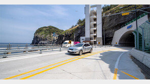 ‘신비의 섬’ 울릉도, 세계적인 관광명소 꿈꾼다