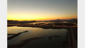 “대한민국 관문 영종도에 쓰레기매립장이라니…”