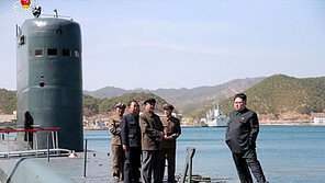 北, 작년 대만 잠수함 사업에 입찰…자체개발 연어급·상어급 제시