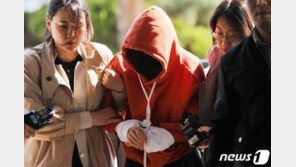 ‘황하나 부실수사 의혹’ 경찰관 2명 참고인 조사