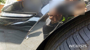 만취상태로 자전거 몰다 주차차량 들이받은 50대에 범칙금은?