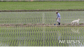 “5~6월 강수량 적을 듯”…모내기철 가뭄 대비 필요